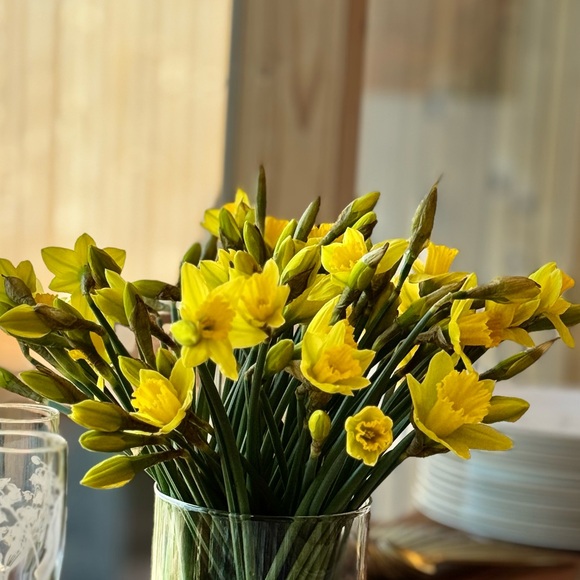 Meet your Posher, Sanam - Picture 1 of 1